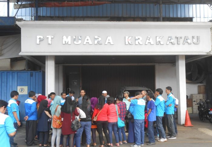 muara krakatau phk sepihak spn