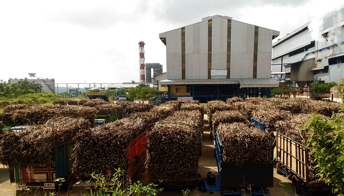 pabrik gula madukismo tampak agro 1001malam manis tetap