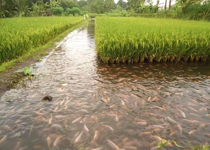 sumber daya alam kepulauan riau