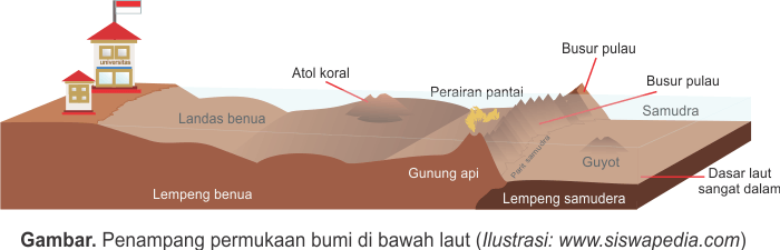 dan adaptasi contoh tumbuhan hewan fisiologi morfologi tingkah laku pengertian makhluk