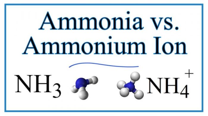 perbedaan amonia dan amoniak terbaru