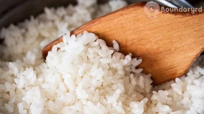 rice kelistrikan keuntungan prinsip