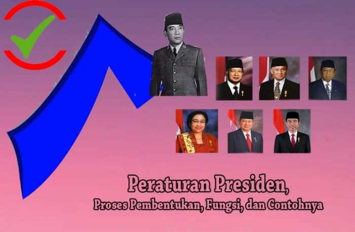 proses penyusunan peraturan presiden