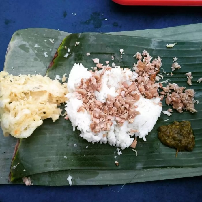 nasi megono berasal dari