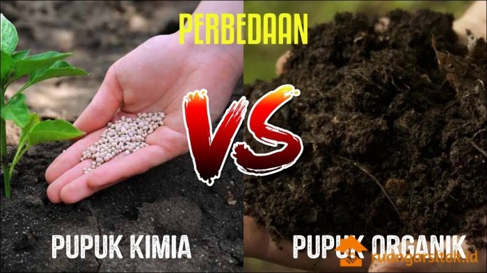 perbedaan pupuk organik dan anorganik