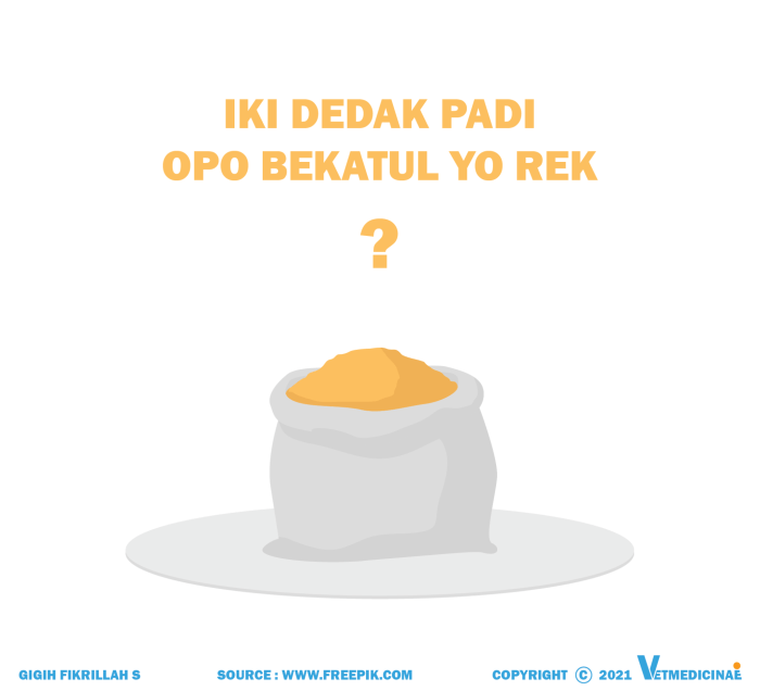 perbedaan dedak dan bekatul terbaru