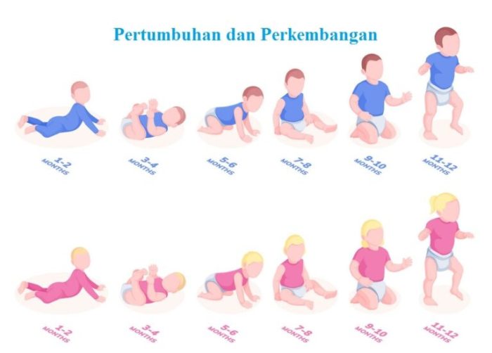 konsep bayi kembang tumbuh balita prasekolah tumbang