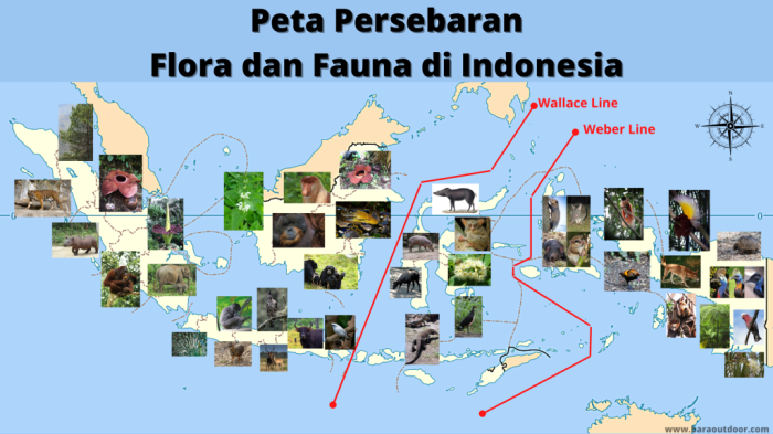 tumbuhan fauna macam persebaran langka tanaman khas hayati provinsi pembagian daftar hewan peta identitas jenis kekayaan tengah wilayah kliping melestarikan