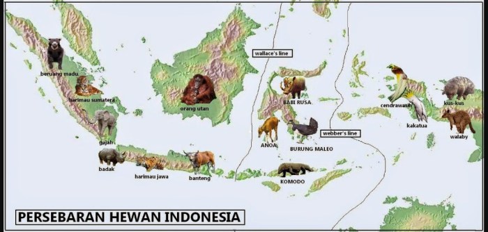 peta persebaran flora dan fauna di dunia