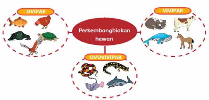 peta pikiran perkembangbiakan hewan terbaru