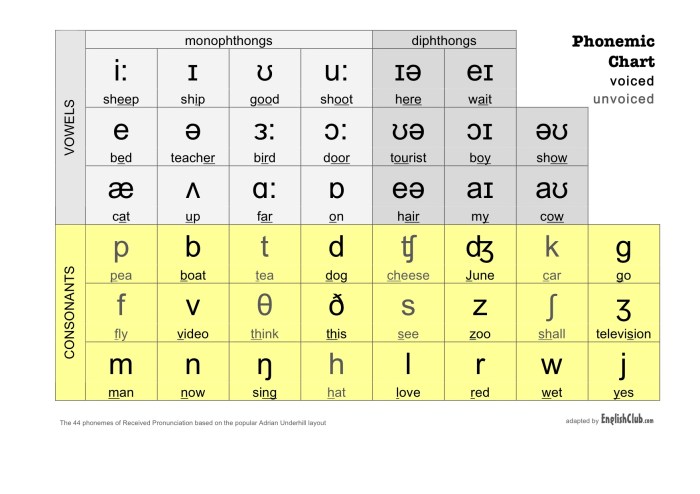 perbedaan phonetic dan phonology