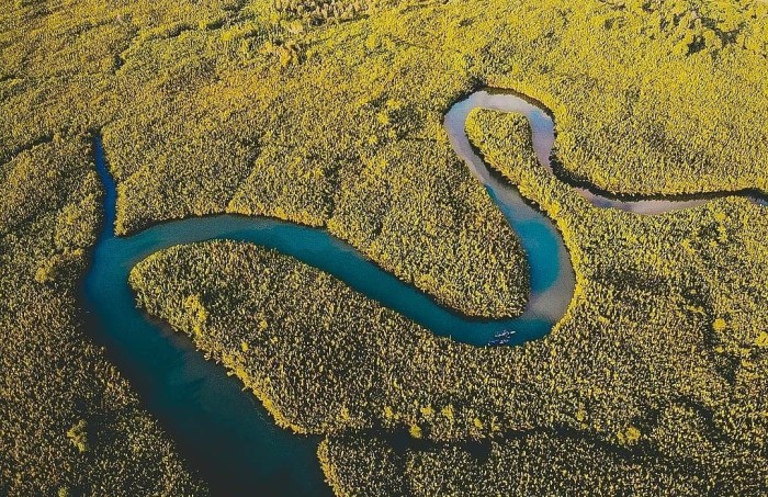 flora dan fauna di pulau sulawesi