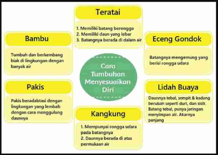 cara bunga teratai melindungi diri terbaru