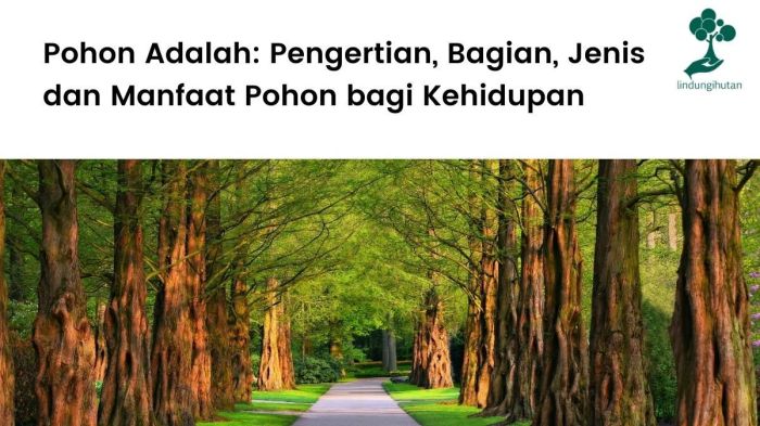 contoh bagan berbentuk pohon terbaru