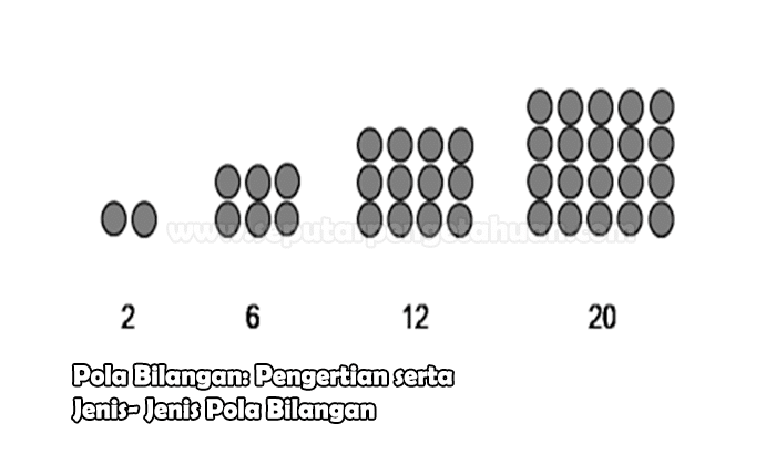 modul pola bilangan kelas 8