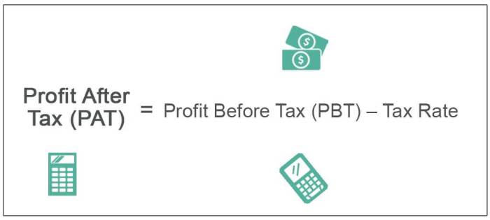 earning after tax adalah