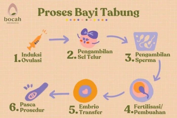 pertanyaan tentang bayi tabung terbaru