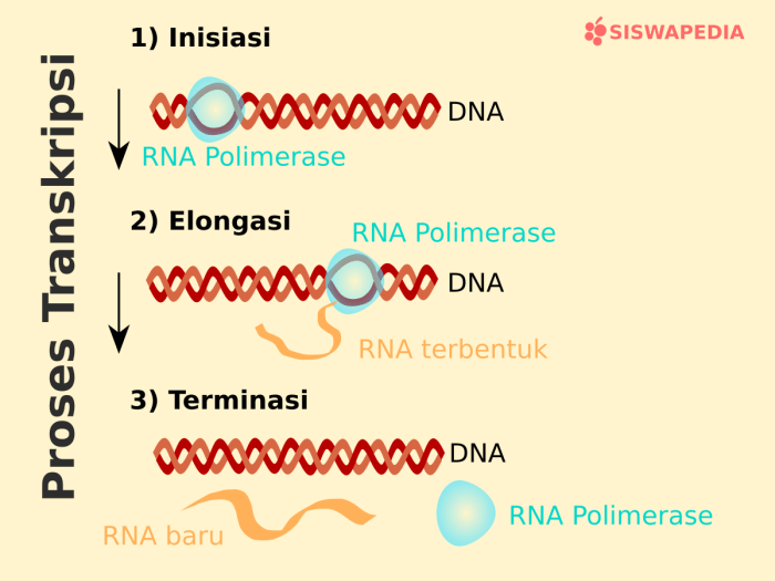 yang termasuk sakramen inisiasi adalah terbaru