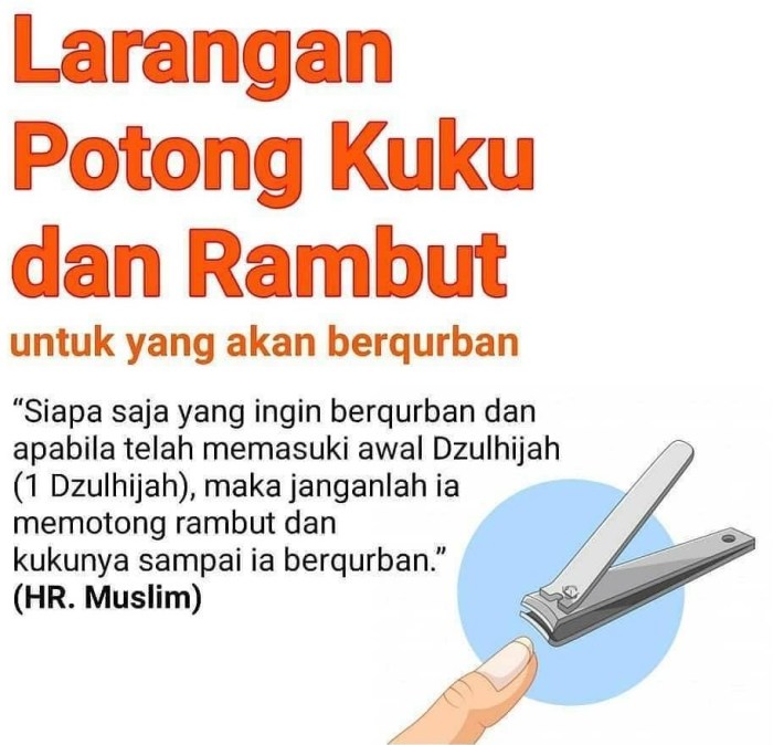 kuku qurban rambut dilarang larangan potong kurban memotong