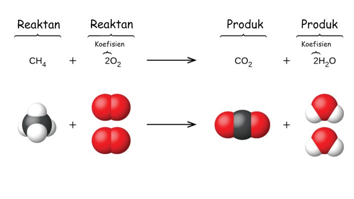 Reaksi oksidasi terjadi pada reaksi nomor