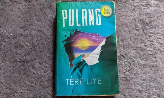 kekurangan novel pulang karya tere liye terbaru