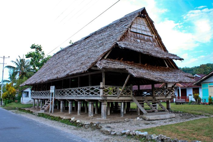 suku selatan sumatera komering adalah lampung adat sumatra proto malayan tiga