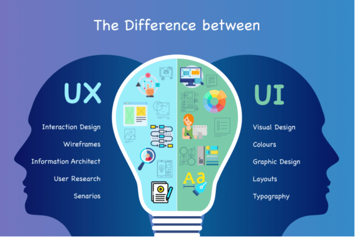 apa yang dimaksud dengan user id