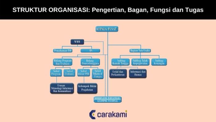 organisasi struktur jurusan biologi tupoksi ketua fungsi