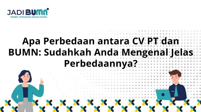 apa perbedaan antara cv pt dan bumn