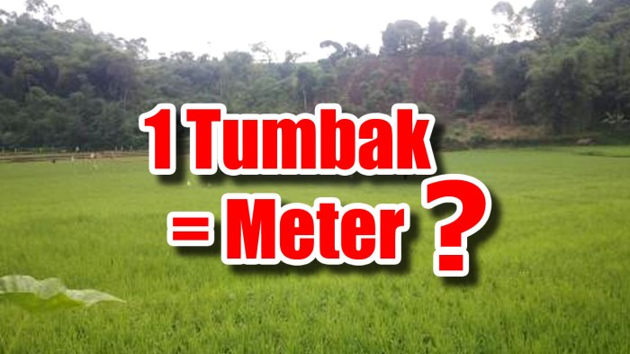 satu tumbak berapa meter terbaru