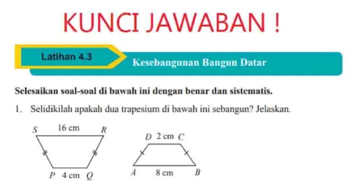 sebuah batako berukuran panjang 24 cm terbaru