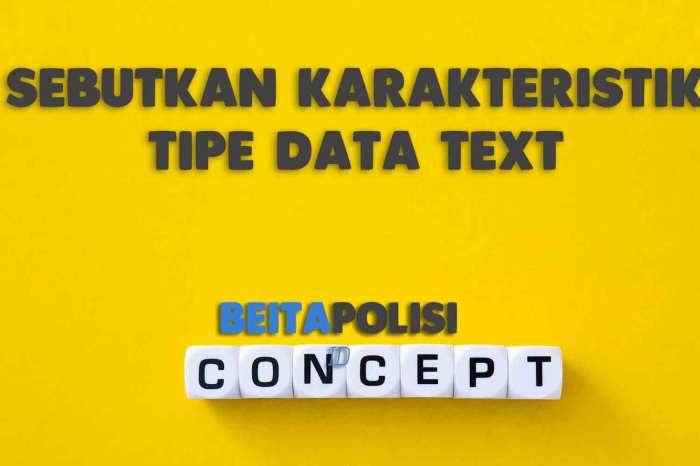 sebutkan karakteristik tipe data teks