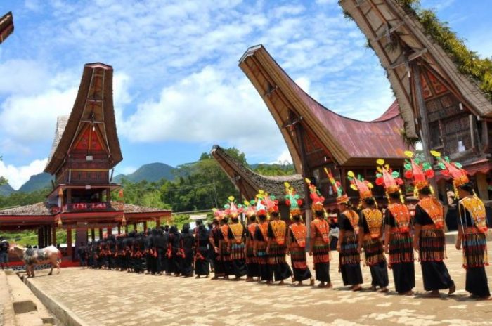 kehidupan sosial suku toraja terbaru