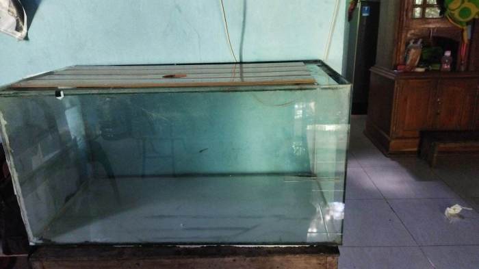 aquarium 100x50x50 berapa liter terbaru