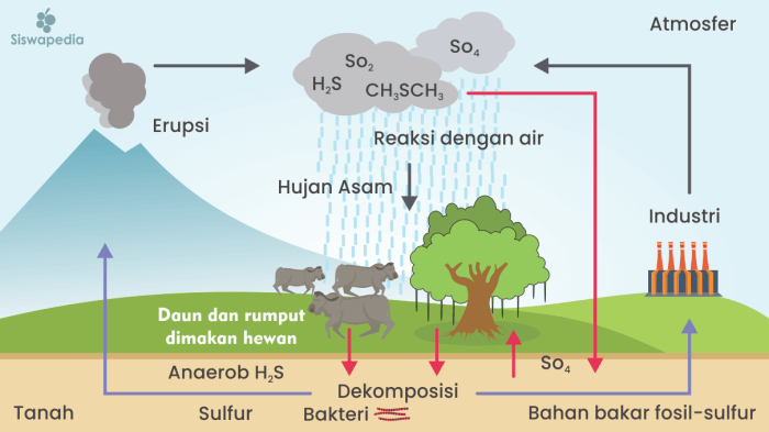 Siklus karbon daur oksigen pemanasan biogeokimia nitrogen keterkaitan proses pengertian fosfor co2 menlhk atmosfer bahan bakar batubara udara