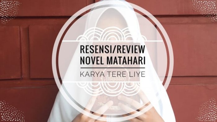 resensi novel matahari tere liye