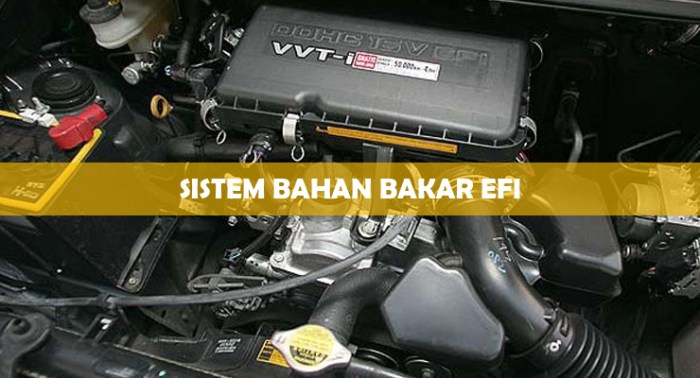 efi sistem inyectores ultrasonido lavado calib pengertian automotriz penjelasan bahan bakar komponen mecanica