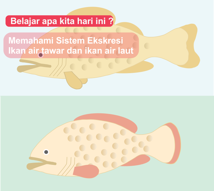 jelaskan tentang biocycle air tawar