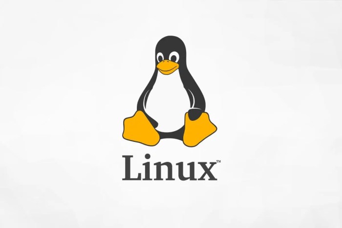 linux deepin operasi sebutkan pengertian fungsinya developer kelebihan beserta variannya techmagz
