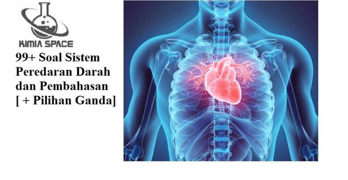 gangguan pada organ peredaran darah sapi