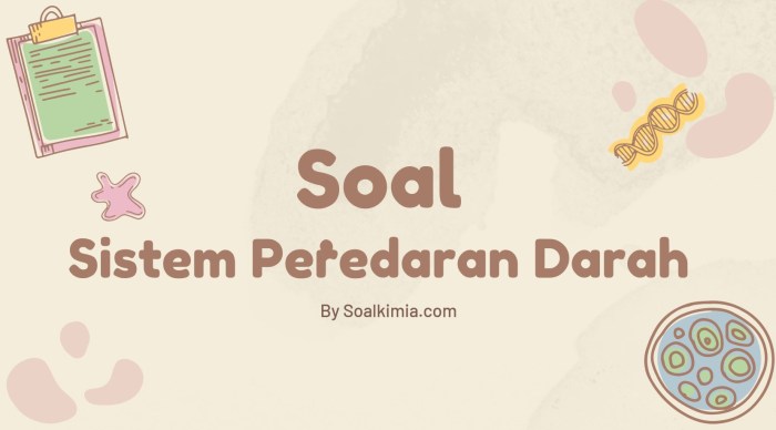 soal hots sistem peredaran darah kelas 8 terbaru