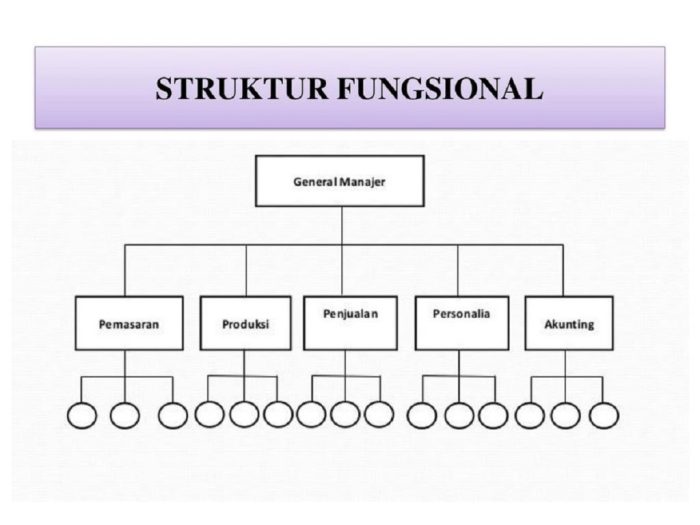 organisasi fungsional bentuk struktur garis lini pengertian wewenang cari mari tau