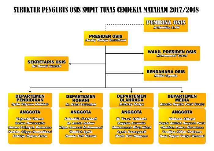 contoh struktur organisasi osis