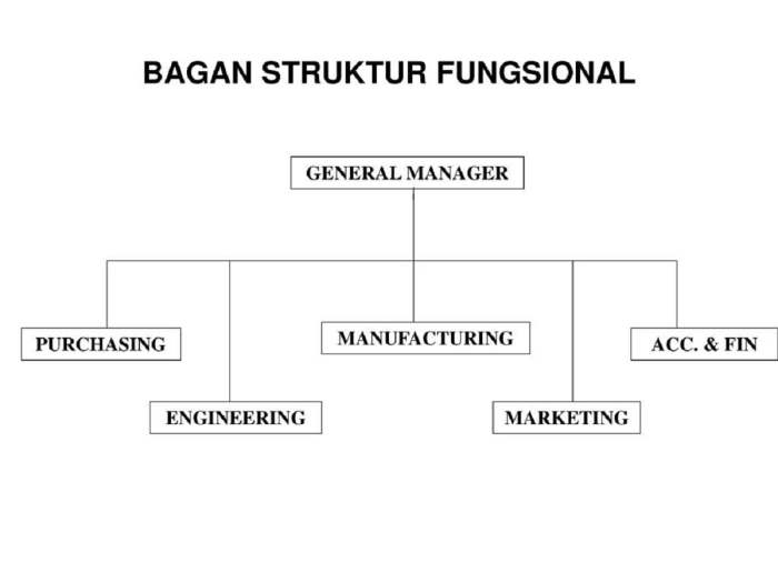 organisasi bentuk struktur fungsional plural mandor perusahaan