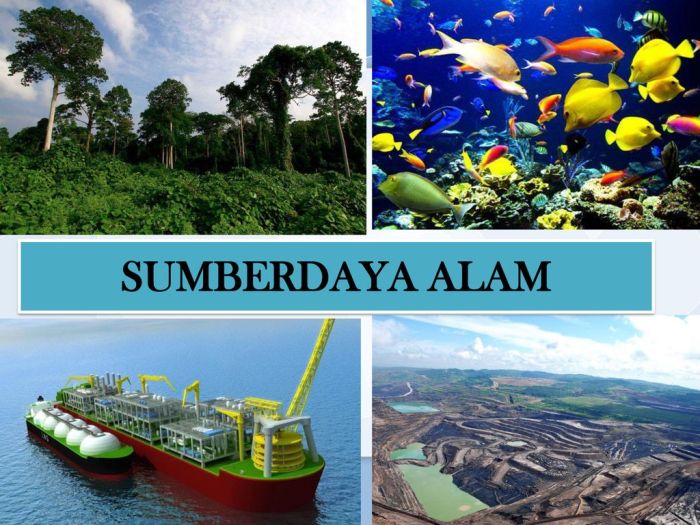 sumber daya alam ekonomi kekayaan wilayah pembangunan pemanfaatan pengertian peranan yg hutan minyak jenis manusia lingkungan bisa informasi masyarakat negara