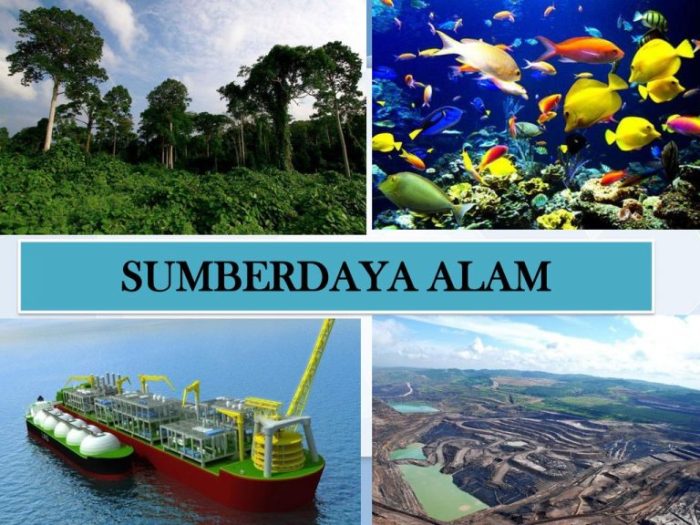 sumber daya alam kepulauan riau terbaru