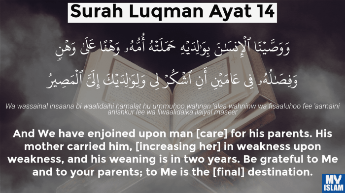 luqman ayat 14 arti perkata