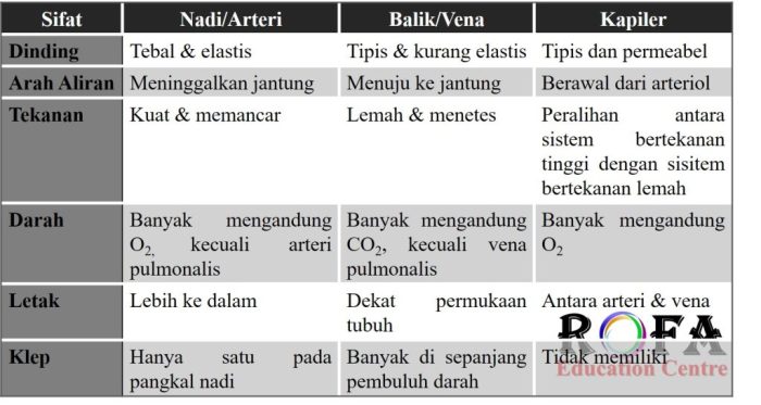 tabel perbedaan sel darah terbaru