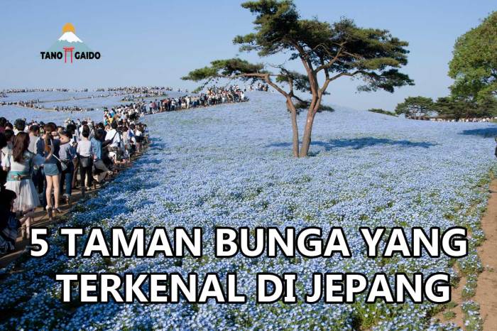 bunga bergerak taman jepang indah lucu koleksi bbm yoyogi lusia shinjuku gyoen