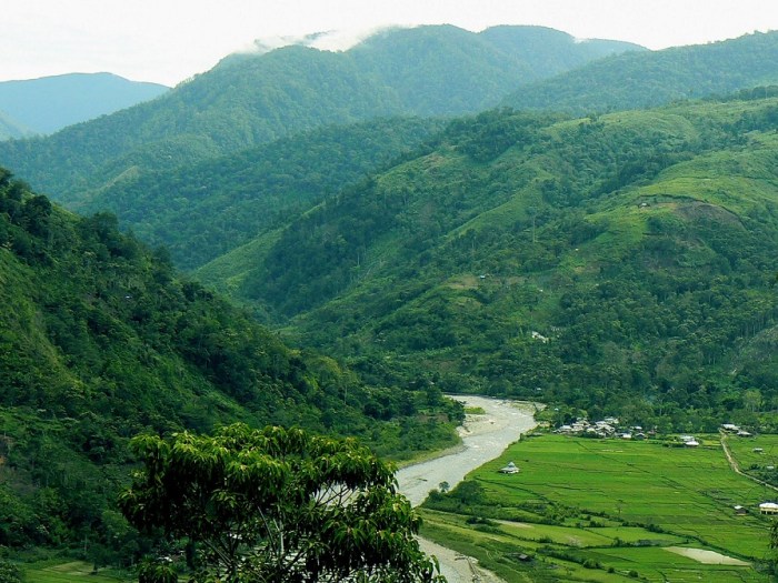 cagar alam gunung leuser terbaru